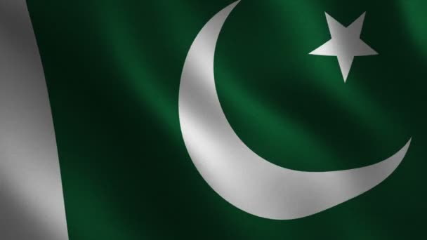 Die Pakistanische Flagge Weht Abstrakter Hintergrund Schleifenanimation Bewegungsgrafik — Stockvideo