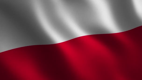 Polnische Flagge Schwenkend Abstrakter Hintergrund Schleifenanimation Bewegungsgrafik — Stockvideo