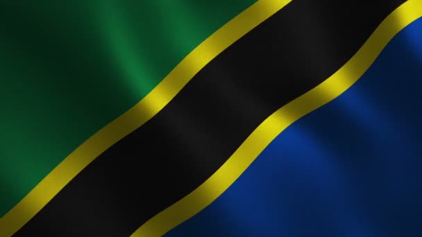 坦桑尼亚国旗挥舞着3D 抽象背景 循环动画 运动图形 — 图库视频影像