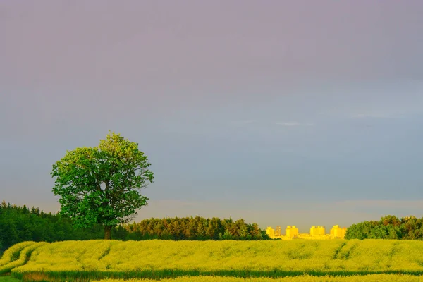 kırsal manzara şehir ile