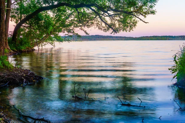 Lacs Dans Les Forêts Bélarus — Photo