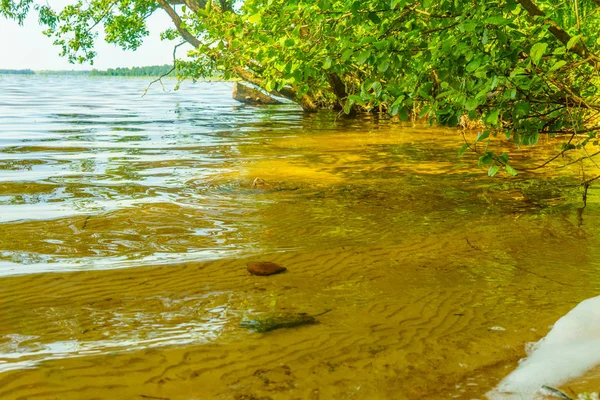 Beyaz Rusya'nın ormanları gölleri