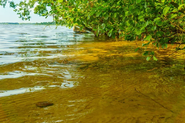 Beyaz Rusya'nın ormanları gölleri
