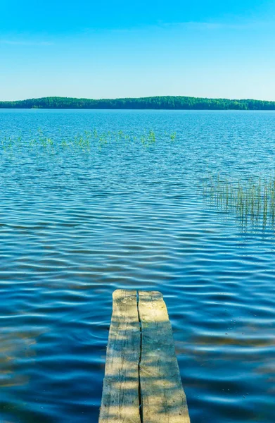 Beyaz Rusya'nın ormanları gölleri