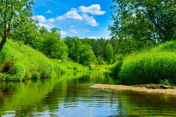 Belarus Doğanın Güzelliği Telifsiz Stok Imajlar