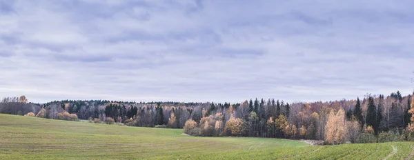Jesienny Widok Białorusi — Zdjęcie stockowe
