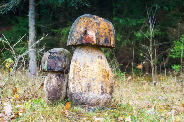 Podzimní Druhy Bělorusku — Stock fotografie