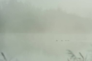 sabah sayısı sis Nehri