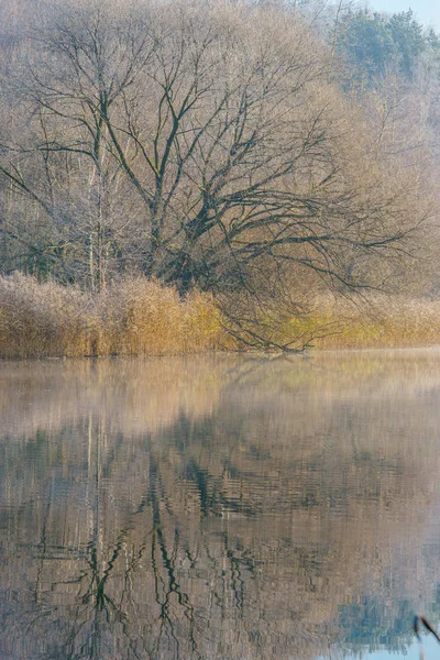 Morgon Utsikt Över Floden Dimma — Stockfoto