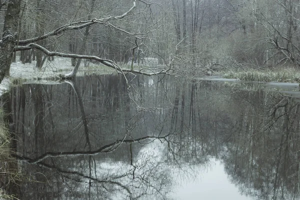 Rivier Bij Eerste Sneeuw — Stockfoto