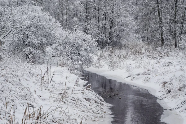 Νεράιδα Χειμώνα Στο Δάσος — Φωτογραφία Αρχείου