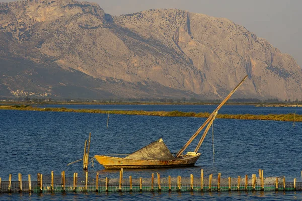 Yunanistan'da yaz sayısı