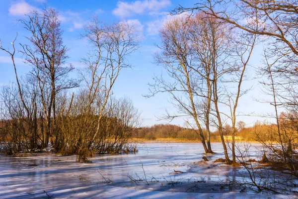 Lente Weergaven Van Wit Rusland — Stockfoto