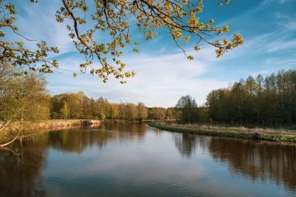 Rivier Met Beboste Oevers — Stockfoto