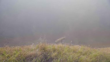 Sabah erkenden nehir kenarında