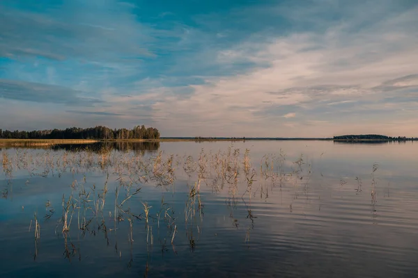 Uitzicht Het Meer Belarus — Stockfoto