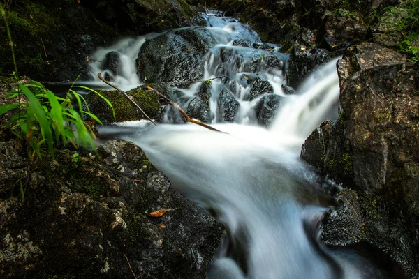 Pequeñas Cascadas Con Piedra Oscura Plantas Verdes Nubladas Por Noche — Foto de Stock