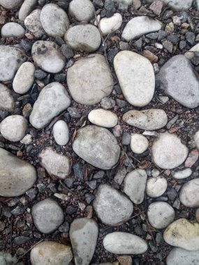 Yol geçen yılın yapraklarıyla dolu gri taşlarla kaplı.