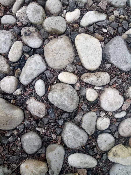 Path Lined Gray Stones Fallen Last Year Leaves — стоковое фото