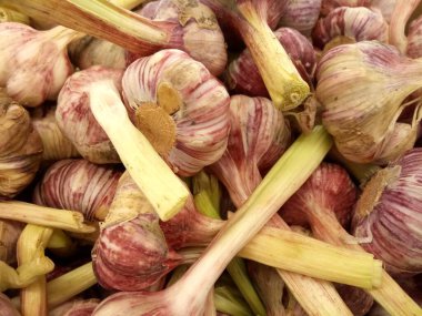 Taze sarımsak başları tezgahın üzerinde.