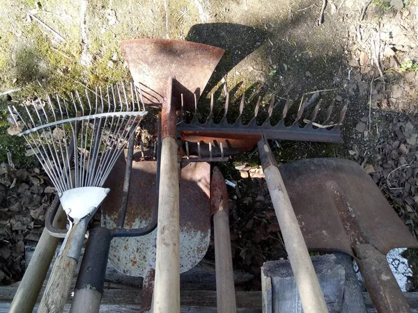 院子里的旧园艺工具 — 图库照片