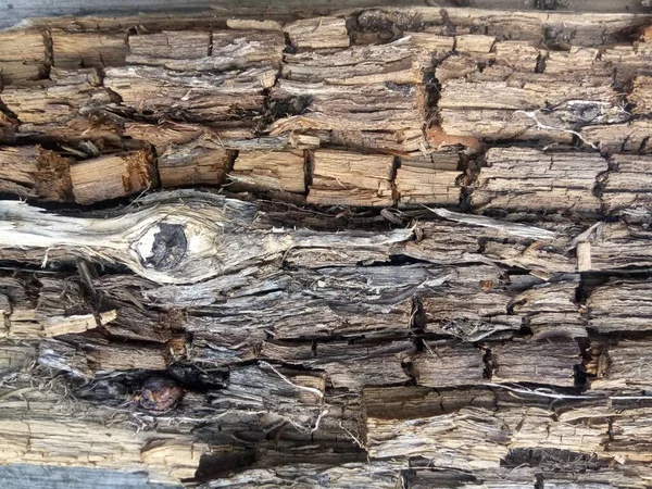 旧的被毁木料的质地 有一个像近视一样的结 — 图库照片