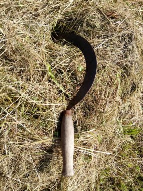 # Yaşlı orak biçilmiş çimlere sıkışmış # 