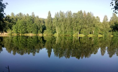 Mavi gökyüzünün ve orman gölündeki ağaçların yansıması.