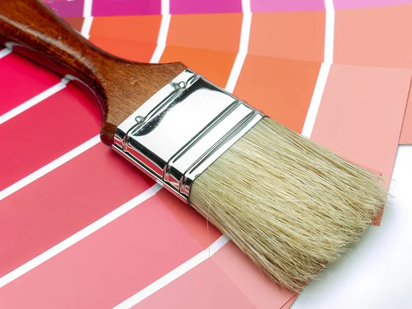 Pincel Pintura Una Variedad Muestras Color Pintura —  Fotos de Stock