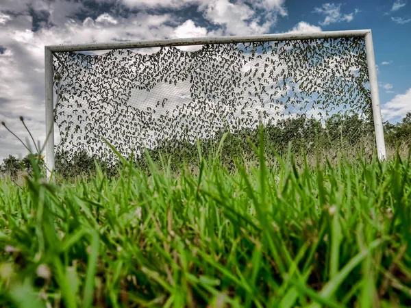 空戦放棄された農村のサッカー ゴール — ストック写真