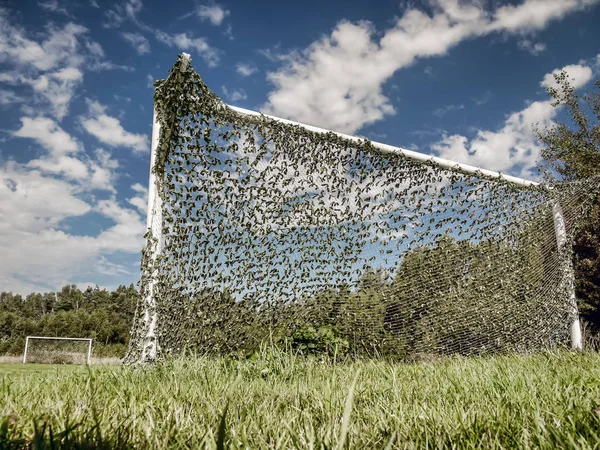 目標の放棄された農村サッカー ボール場 — ストック写真