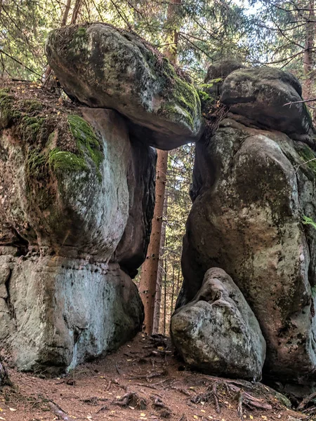 在波兰的桌山国家公园的蘑菇岩石旅游小径上可以找到许多独特的砂岩岩层之一 — 图库照片