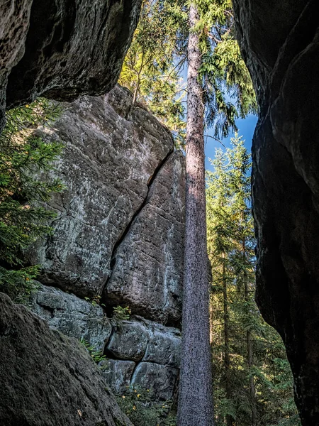 Formacje Skalne Piaskowca Szlaku Turystycznym Grzyb Skały Table Mountain National — Zdjęcie stockowe