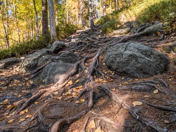 Mooie Toeristische Route Tabel Mountain National Park Polen — Stockfoto