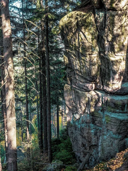 テーブル山の国立公園 ポーランドの砂岩崖 — ストック写真