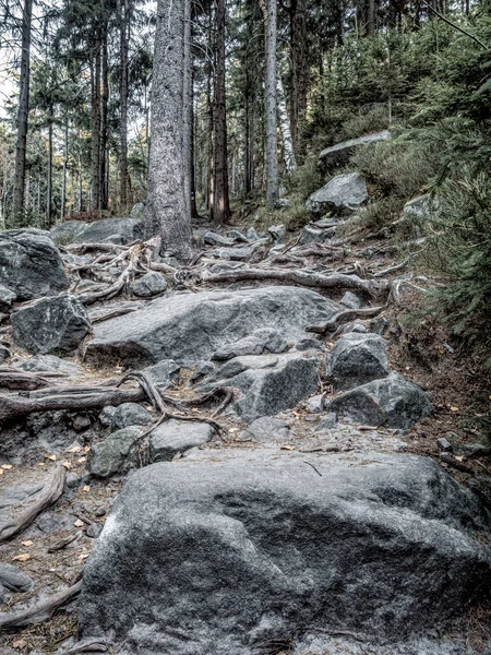 Bela Trilha Turística Que Leva Chamado Errant Rocks Parque Nacional — Fotografia de Stock