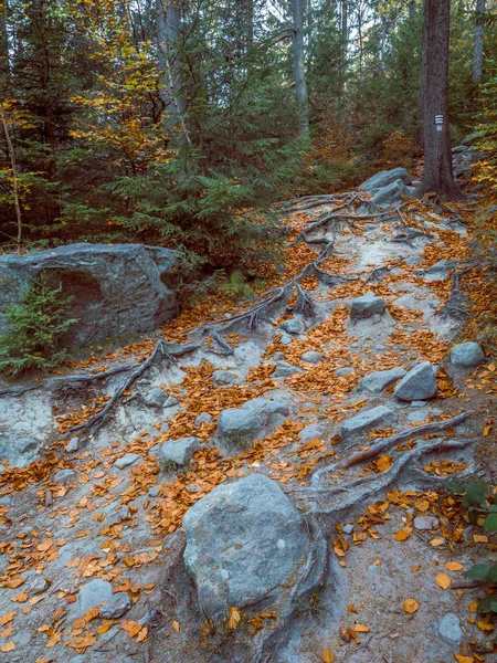 Mooie Toeristische Route Leidt Tot Zogenaamde Dolende Rotsen Tabel Mountain — Stockfoto