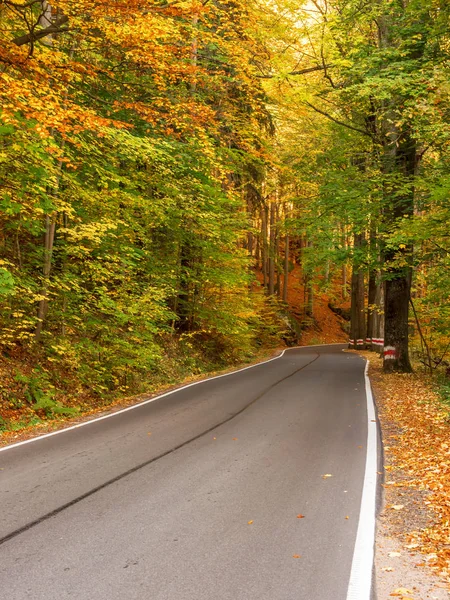 Malebná Tzv Set Křivek Road Národním Parku Stolové Hory Podzimním — Stock fotografie