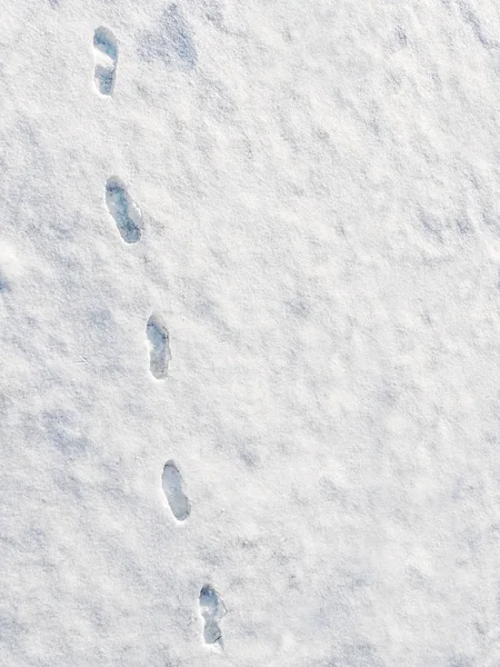 Voetafdrukken Sneeuw Oppervlak Schot Van Bovenaf Stockfoto