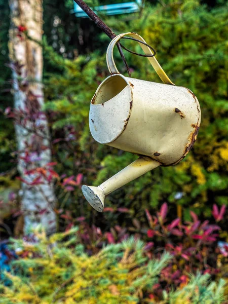 Oude Watering Can Als Tuin Decoratief Element — Stockfoto