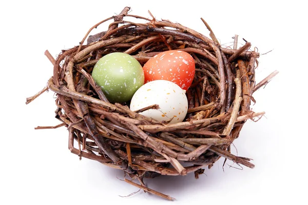 Three speckled eggs in nest — Stock Photo, Image