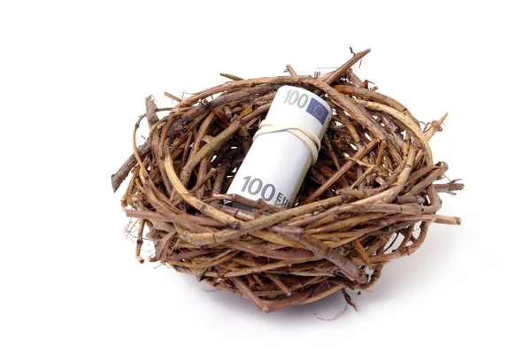 Pénzt a bird's nest — Stock Fotó