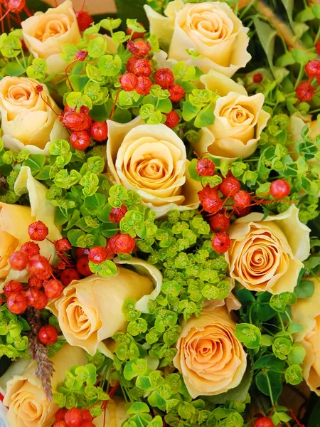 Rote Rosen und Gänseblümchen — Stockfoto