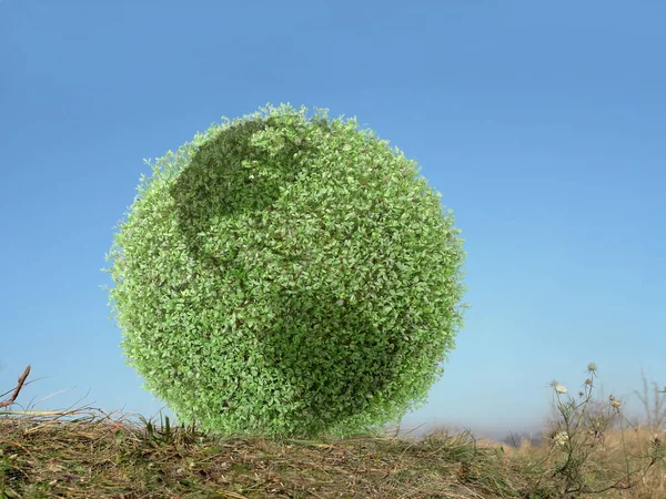 Зелений глобус у траві — стокове фото