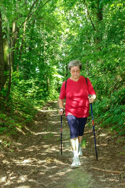 Nordic walking in the firest — Stock Photo, Image