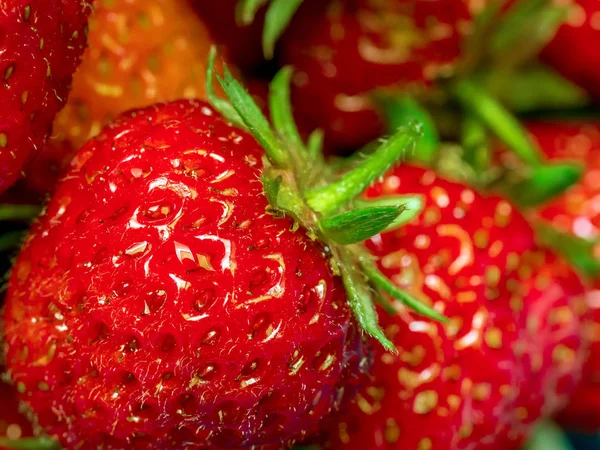 Bunch of juicy strawberries — Stock Photo, Image