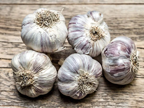 Bos van knoflook bollen — Stockfoto