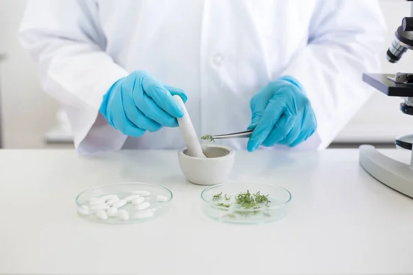 Scientist Woman Using Mortar Pestle Mashed Research Plant Pill Medica — Stock Photo, Image
