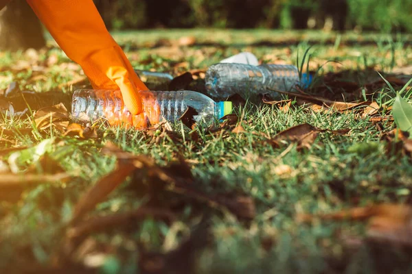 Gönüllü kadın elleri eldiven takıyor ve halka açık parktaki çimlerden plastik şişeyi uzak tutuyor, geri dönüşüm ve atık yönetimi kavramını ortadan kaldırıyor, çevre dostu