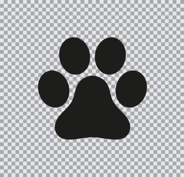 Şeffaf arkaplanda patinin vektör düz simgesi